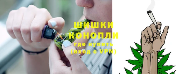 стаф Белокуриха