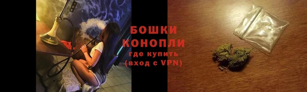 стаф Белокуриха