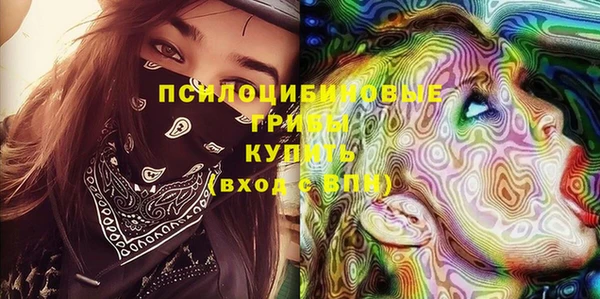 стаф Белокуриха