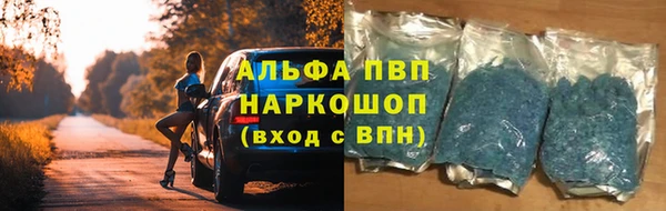стаф Белокуриха