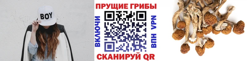 сколько стоит  Чёрмоз  mega ССЫЛКА  Галлюциногенные грибы ЛСД 